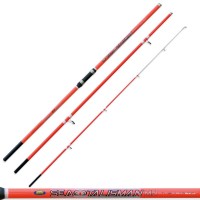 Fishing rod Lineaeffe Surfcasting Sea Talisman MN Action 250gr