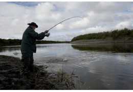 Comment faire tourner le poisson